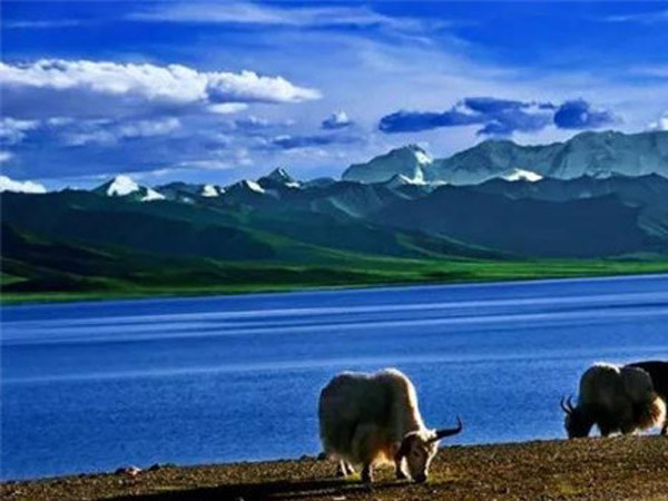 考察訪問 考察訪問